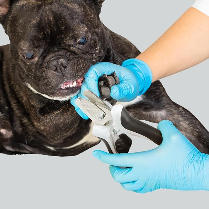 TwoEar Dog Nail Clippers with Light, Dog Nail Trimmers with Quick Sensor & Safety Guard, Razor Sharp Blade, LED Pet Nail Clippers/Dog Toenail Clippers for Medium Large Dogs, Black