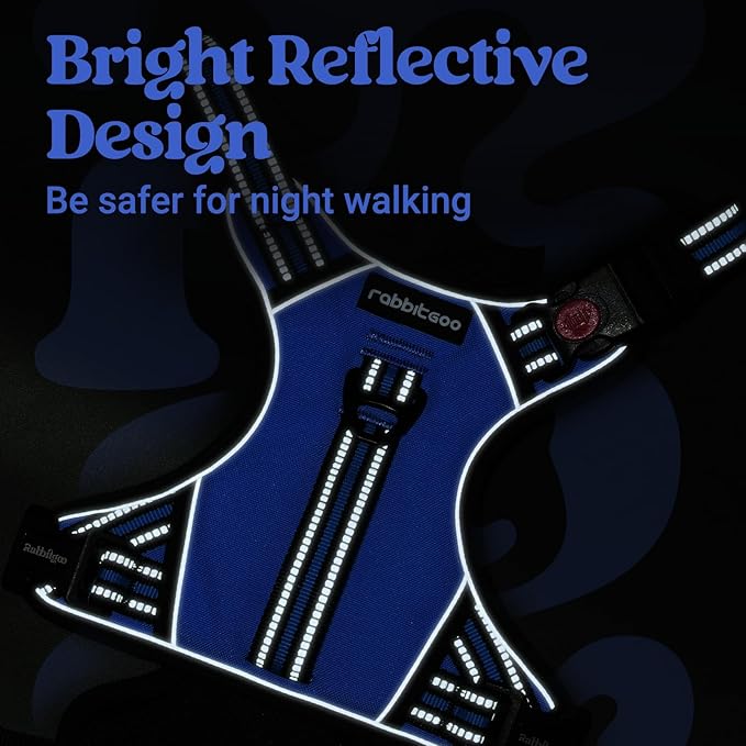 rabbitgoo Dog Harness Small Sized Dog, No Pull Pet Harness with Soft Padded Handle, Adjustable Reflective Vest with 3 Buckles, Easy Walking Harness with 2 Leash Clips, Blue, S