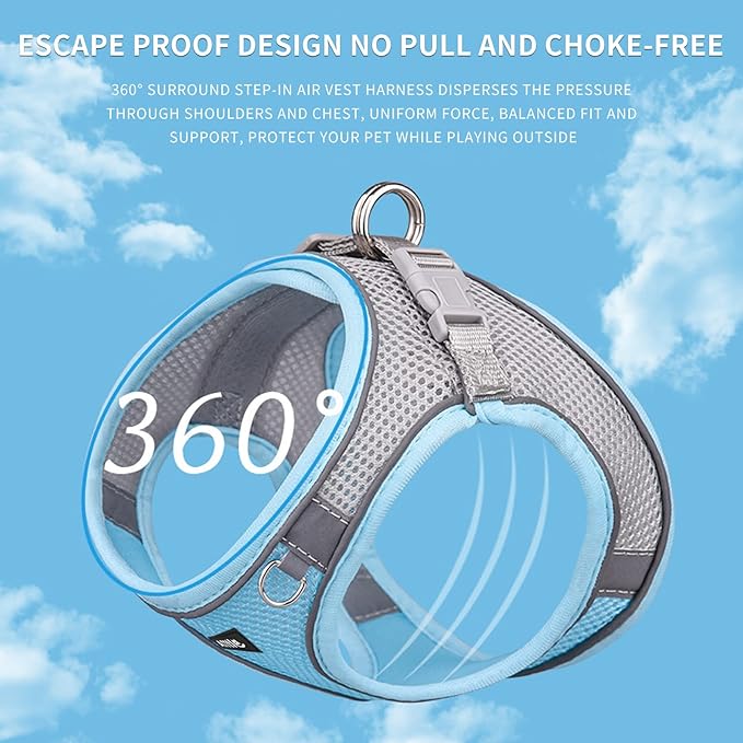 AIITLE Step in Dog Harness and Leash Set - Spring No Pull Escape Proof Vest Harnesses with Soft Mesh and Reflective Bands, Adjustable Pet Outdoor Harnesses for Small and Medium Dogs Blue M