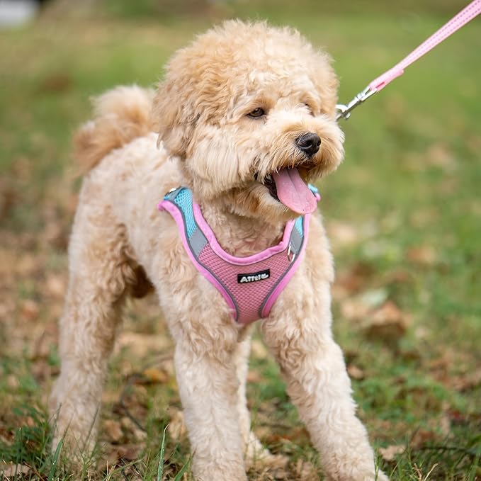 AIITLE Easy Walk Dog Harness and Leash Set - Pet Supply No Pull, Step in Adjustable Dog Harness with Padded Vest for Spring, Dog Harness No Choke Over, Easy to Put on Medium Dogs Pink L
