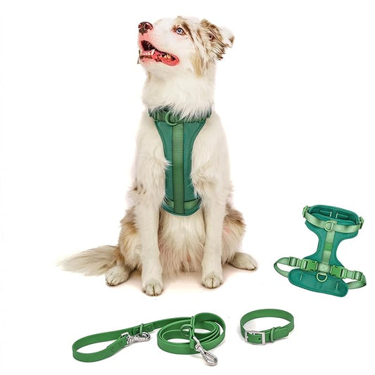 Dog Harness and Leash Set | BearBone No Pull Dog Harness and Waterproof Dog Collar and Leash Set | Heavy Duty Dog Harness, Leash and Collar | Medium Dog Harness, Leash and Collar (Green, Medium)