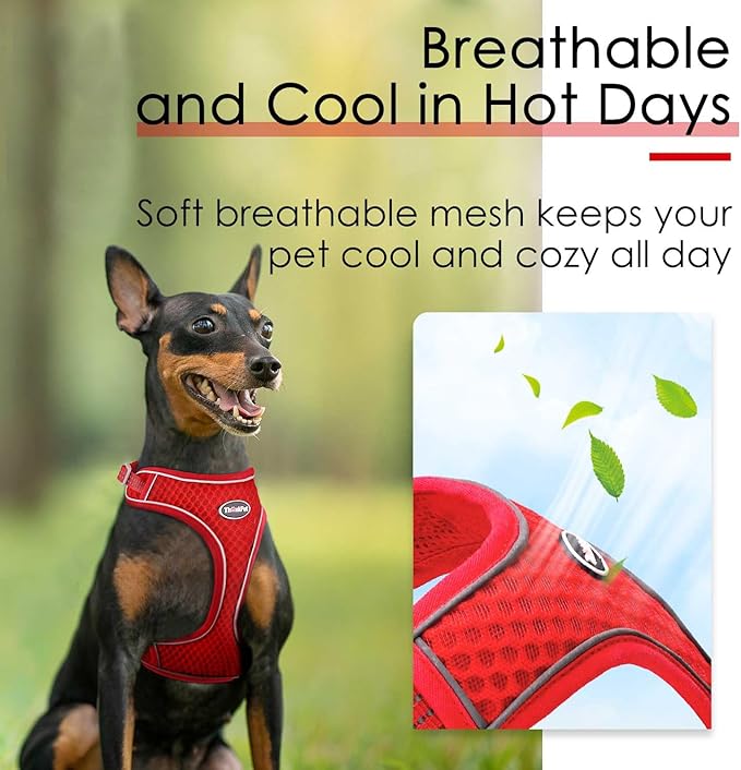 ThinkPet Harness and Leash Set Reflective Breathable Soft Air Mesh No Pull Puppy Choke Free Over Head Vest Ventilation Harness with Leash for Puppy Small Medium Dogs and Cats