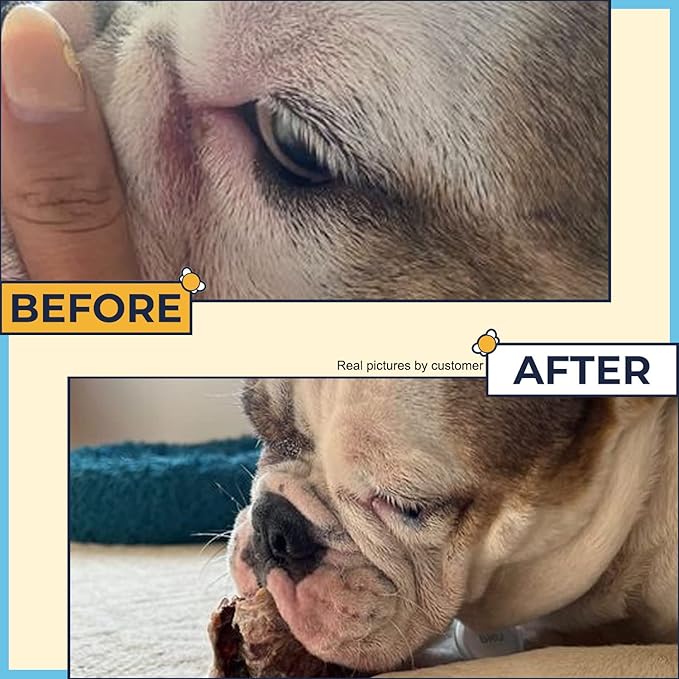Wrinkle Paste for Bulldogs + Wrinkle Wipes French Bulldog- Wrinkle Cream for Dogs (Frenchie, English Bulldog, Pug)-Cleans Rashes,Tail Pockets- English Bulldog Harness Cream w/ Dog Face Wipes