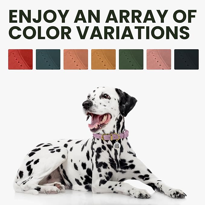 BRONZEDOG Rolled Leather Dog Collar with QR ID Tag Adjustable Soft Round Collars for Small Medium Large Dogs Puppy Cat (9" - 11" Neck Size, Classic Red)