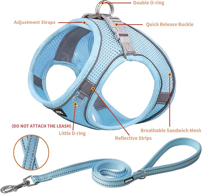 AIITLE Easy Walk Dog Harness and Leash Set - Pet Supply No Pull, Step in Adjustable Dog Harness with Padded Vest for Spring, Dog Harness No Choke Over, Easy to Put on Medium Dogs Pure Blue L