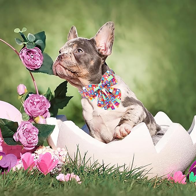 Unique Style Paws Easter Day Dog Collar with Bow Colorful Egg Rabbit Dog Collar Bowtie Bowtie Collar for Large Medium Small Dogs