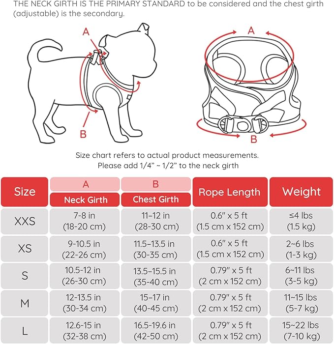 BELLA & PAL Puppy Harness with Leash Set, Dog Harness for Small Dogs No Pull, Dog Leash for Small Dogs, Step in Harness for Extra Small Dogs, Red Harness, L