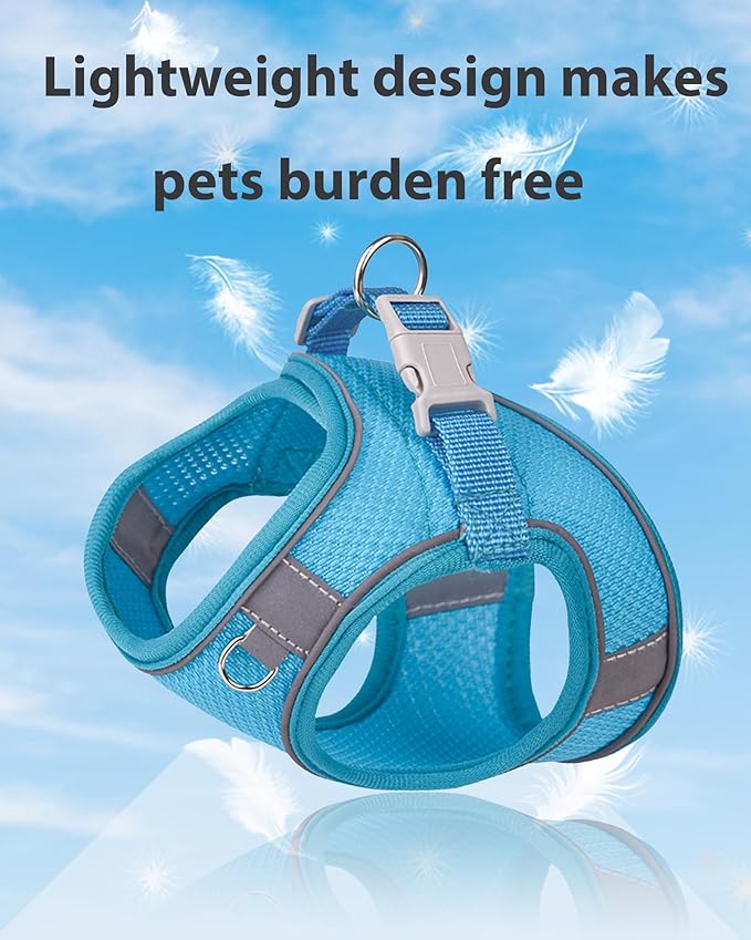 Dog Harness for Small Medium Sized Dog, Puppy Harness and Leash Set Training, Dog Harness and Leash Set, Dog Vest Harness, Dog Harness Small Sized Dog, Small Dog Harness. (Blue, S)