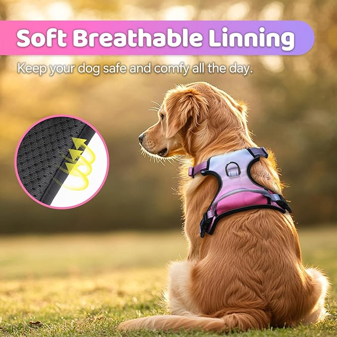 QQPETS No Pull Dog Harness with 2 Leash Clips,Adjustable Soft Padded Dog Vest, Reflective Outdoor Pet Oxford Vest with Easy Control Handle for Small to Large Dogs Walking Training