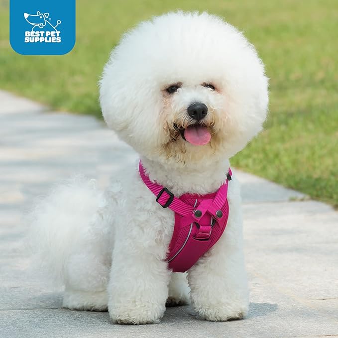 Voyager Freestyle 4-in-1 Dog Harness - Patent Pending Adjustable Webbing Harness with Removable Padding for Small to Large Dogs by Best Pet Supplies - Fuchsia, S