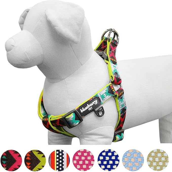 Blueberry Pet 2 Colors Soft & Comfy Step-in Southwestern Vintage Tribal Print Padded Dog Harness, Chest Girth 23.5" - 29.5", Extravagant Green, M/L, Adjustable Harnesses for Dogs