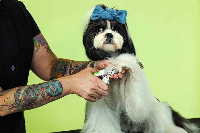 Andis 68575 Animal Nail Cutter for Small Breeds - Stainless Steel Blades with Sharp Efficiency - Designed for Repeated Use & Recommended by Pet Trainers – Medium Size & White/Green