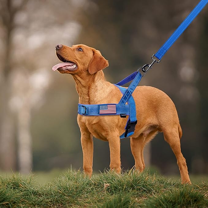 Annchwool No Pull Dog Harness with Padded Handle+5 Ft Leash,Reflective Strip Escape Proof and Quick Fit to Adjust Dog Harness,Easy for Training Walking for Small & Medium and Large Dog(Blue-Set,S)