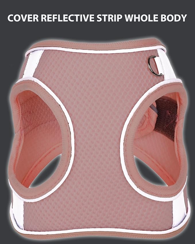 Dog Harness for Small Medium Sized Dog, Puppy Harness and Leash Set Training, Dog Harness and Leash Set, Dog Vest Harness, Dog Harness Small Sized Dog, Small Dog Harness. (Peach, XS)