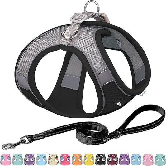 AIITLE No Pull Dog Harness and Leash Set, Step in Adjustable Dog Harness with Padded Vest for All Weather, Dog Leash with Soft Padded Handle, Easy to Put on Small and Medium Dogs Black S