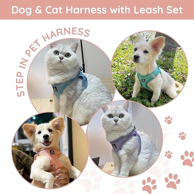 BELLA & PAL Puppy Harness with Leash Set, Dog Harness for Small Dogs No Pull, Dog Leash for Small Dogs, Step in Harness for Extra Small Dogs, Pink Harness, XXS