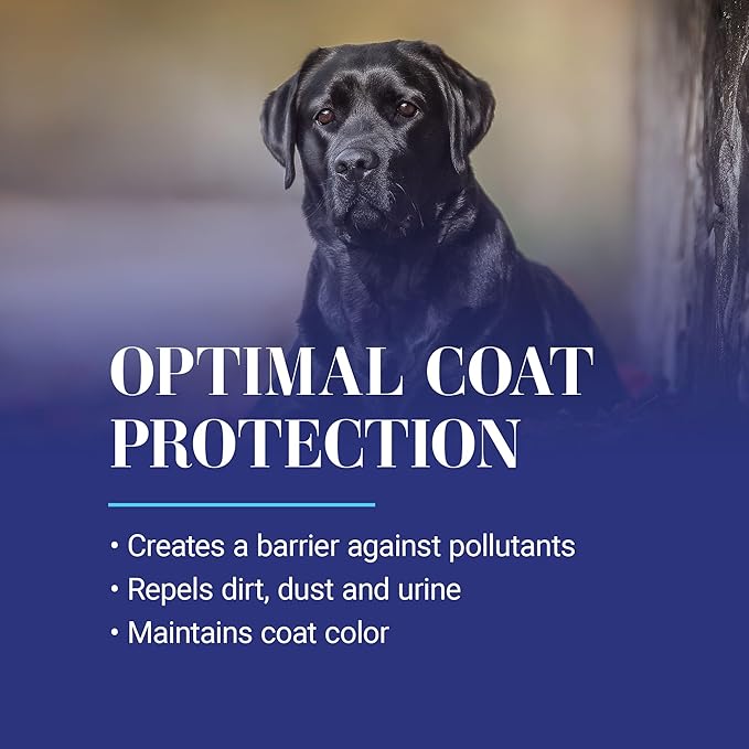 Chris Christensen Ice on Ice Ultra Conditioning Dematting Spray, Dog Conditioner, Groom Like a Professional, Lightweight Formula, Dematts & Detangles, Conditions & Protects, Made in The USA, 13.2oz