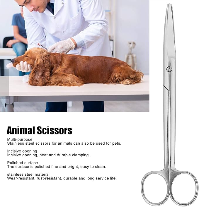 Stainless Steel Animal Scissors, Veterinary Pet Farm Curved Round Scissors Household Tool Professional Versatile Tools, 7.1inches