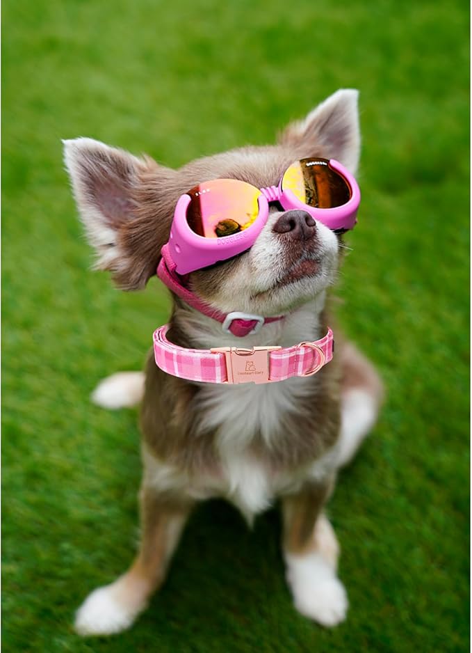 Lionheart glory Valentine's Day Collar, Pink Plaid Dog Collar for Medium Cute Dog Collars Spring Female Pet Gift Adjustable Heavy-Duty Dog Collar Holiday