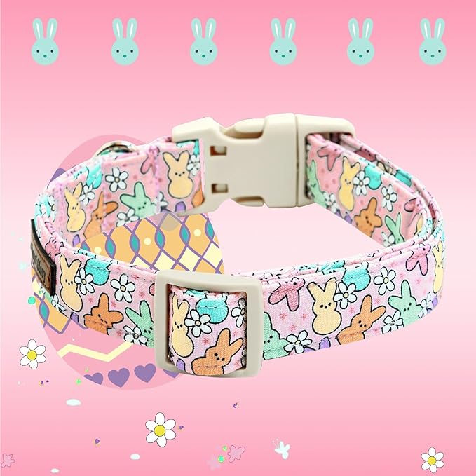 Lionheart glory Easter Dog Collar Colorful Collar for X-Small Dog Collars Easter Egg Print Dog Collars Spring Female or Male Pet Gift Adjustable Heavy-Duty Puppy Collar Holiday