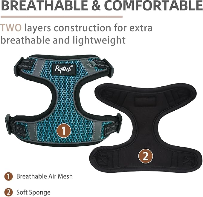 PUPTECK No Pull Dog Harness and Leash Set Reflective No Choke Step in Puppy Halter for XS Small and Medium Sized Dogs, Turquoise, Breathable Mesh, S