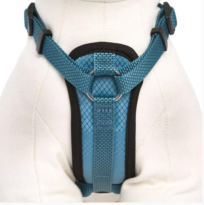 KONG Comfort Padded Chest Plate Dog Harness offered by Barker Brands Inc(Medium, Blue).