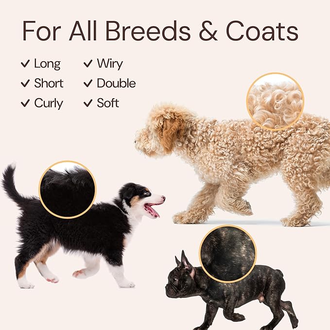 Sunny & Honey 4-in-1 Dog Shampoo and Conditioner & Perfume Spray Bundle - Moisturizing Body Wash - Detangling Spray Deodorizer (Coconut Woof Wash 16oz, Breeze Perfume 8oz)