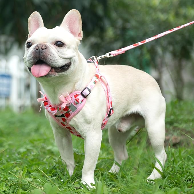 PUPTECK No Pull Dog Harness and Leash Set Reflective No Choke Step in Puppy Halter for XS Small and Medium Sized Dogs, Pink, Printed Fabric, L
