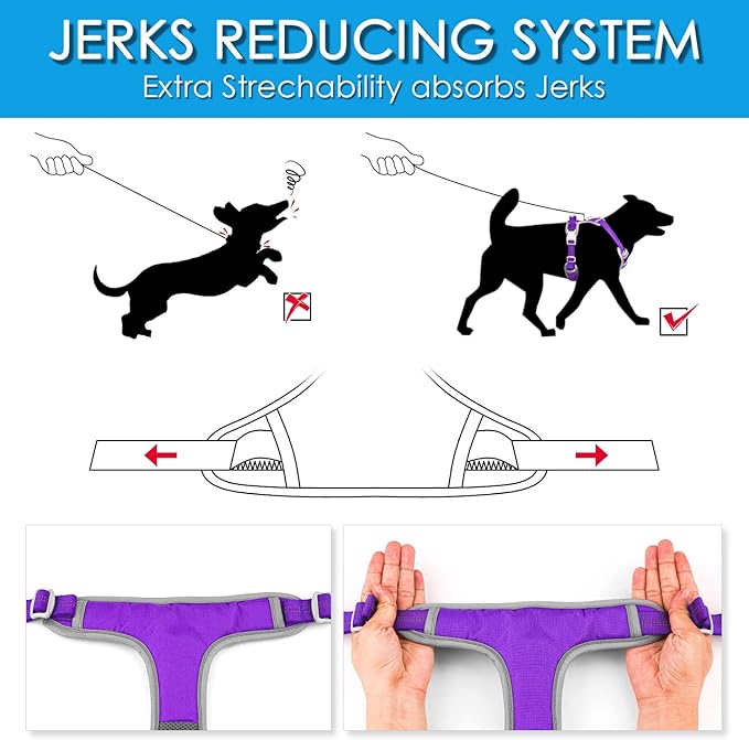 ThinkPet No Pull Harness Breathable Sport Vest with Handle-Dog Harnesses Reflective Adjustable for Medium Large Dogs