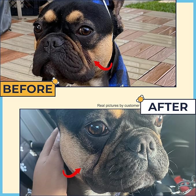 Wrinkle Paste for Bulldogs + Wrinkle Wipes French Bulldog- Wrinkle Cream for Dogs (Frenchie, English Bulldog, Pug)-Cleans Rashes,Tail Pockets- English Bulldog Harness Cream w/ Dog Face Wipes