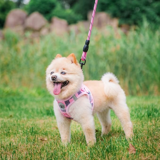 BEAUTYZOO Small Dog Harness and Leash Set,Step in No Chock No Pull Soft Mesh Dog Harnesses Reflective for Extra-Small/Small Medium Puppy Dogs and Cats, Plaid Dog Vest Harness for XS S Pets, Pink S