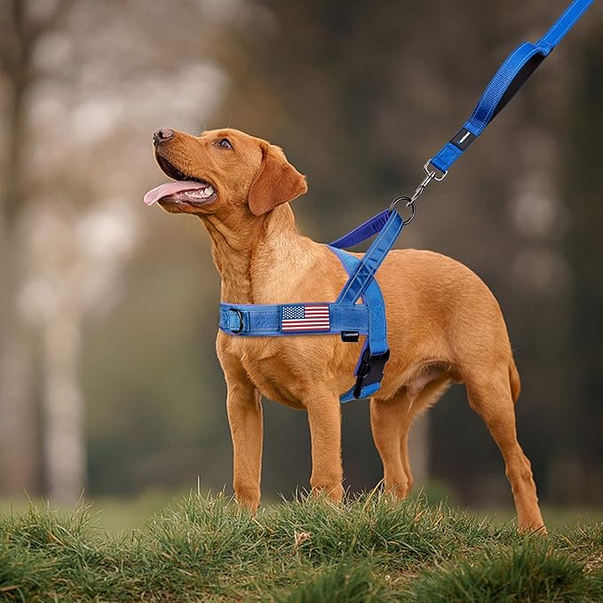 Annchwool No Pull Dog Harness with Soft Padded Handle,Reflective Strip Escape Proof and Quick Fit to Adjust Dog Harness,Easy for Training Walking for Small & Medium and Large Dog(Blue,XL)