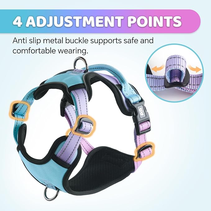 QQPETS No Pull Dog Harness with 2 Leash Clips,Adjustable Soft Padded Dog Vest, Reflective Outdoor Pet Oxford Vest with Easy Control Handle for Small to Large Dogs Walking Training
