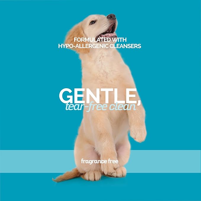 Bark2Basics Sensi-Skin Hypoallergenic Dog Shampoo, 1 Gallon, All Natural Ingredients, Sensitive Skin Pet Shampoo, Gentle, No Fragrance, Non-Irritating, For Dogs with Allergies and Dry, Itchy Skin