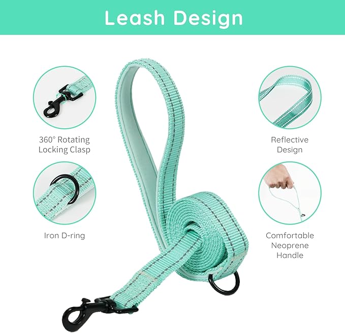 BELLA & PAL Puppy Harness with Leash Set, Dog Harness for Small Dogs No Pull, Dog Leash for Small Dogs, Step in Harness for Extra Small Dogs, Light Green Harness, XS