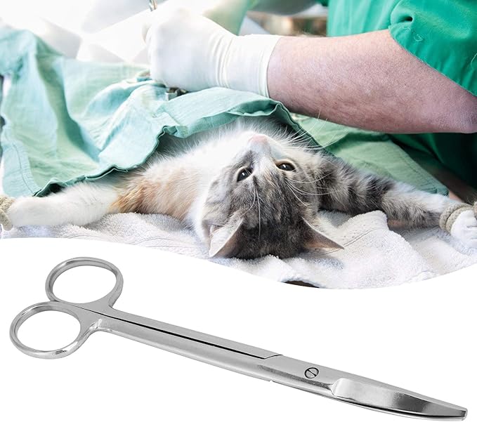 Stainless Steel Animal Scissors, Veterinary Pet Farm Curved Round Scissors Household Tool Professional Versatile Tools, 7.1inches