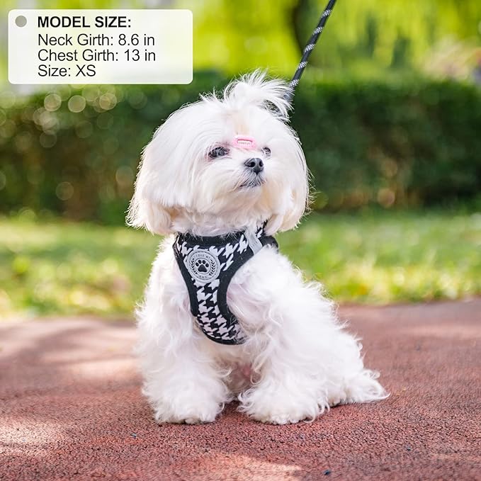 BEAUTYZOO Small Dog Harness and Leash Set,Step in No Chock No Pull Soft Mesh Dog Harnesses Reflective for Extra-Small/Small Medium Puppy Dogs and Cats, Plaid Dog Vest Harness for XS S Pets, Black XS