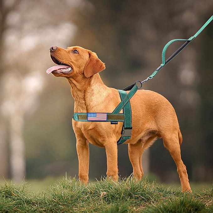 Annchwool No Pull Dog Harness with Soft Padded Handle,Reflective Strip Escape Proof and Quick Fit to Adjust Dog Harness,Easy for Training Walking for Small & Medium and Large Dog(Green,L)