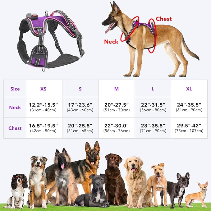 Light Up Dog Harness No Pull LED Dog Harness with Handle Vizbrite Rechargeable Lighted Dog Vest Harness for Small/Medium/Large/X-Large Size Dogs No Pull, 4 Point Adjustable Dog Harness