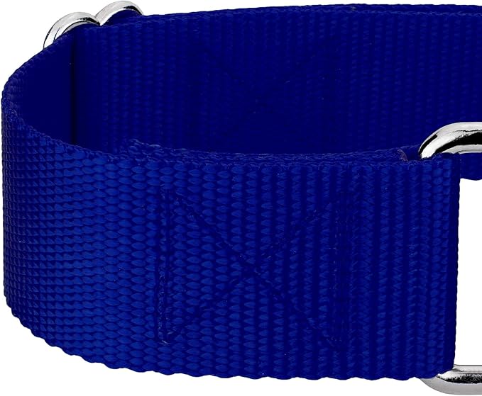 Country Brook Petz 1 1/2 Inch Martingale Heavy Duty Nylon Adjustable Dog Collar for Small, Medium, Large Breeds - Vibrant 17 Color Selection (Royal Blue, Extra Large)