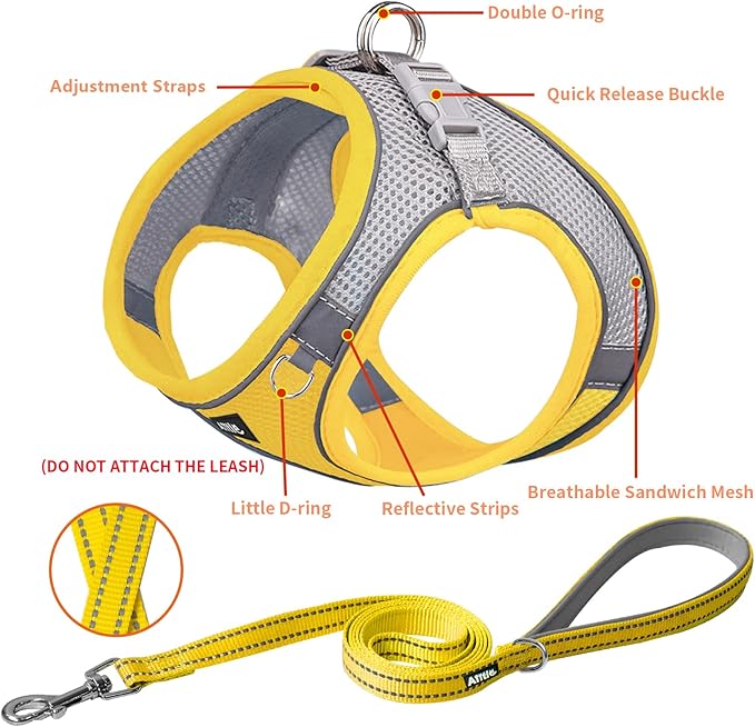 AIITLE Easy Walk Dog Harness and Leash Set - Pet Supply No Pull, Step in Adjustable Dog Harness with Padded Vest for Spring, Dog Harness No Choke Over, Easy to Put on Medium Dogs Yellow L