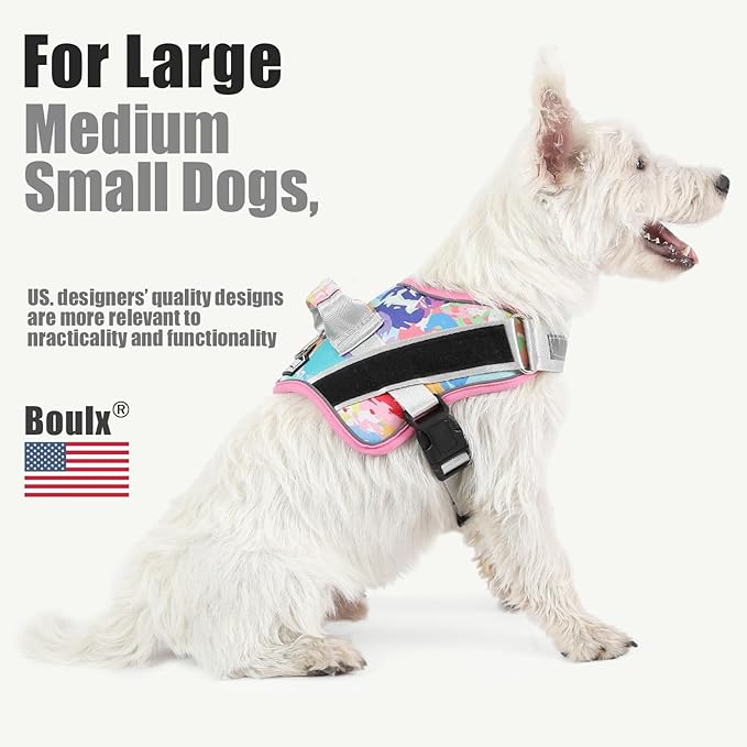 Bolux Dog Harness, No-Pull Reflective Dog Vest, Breathable Adjustable Pet Harness with Handle for Outdoor Walking - No More Pulling, Tugging or Choking (Small (Pack of 1), OilPainting)