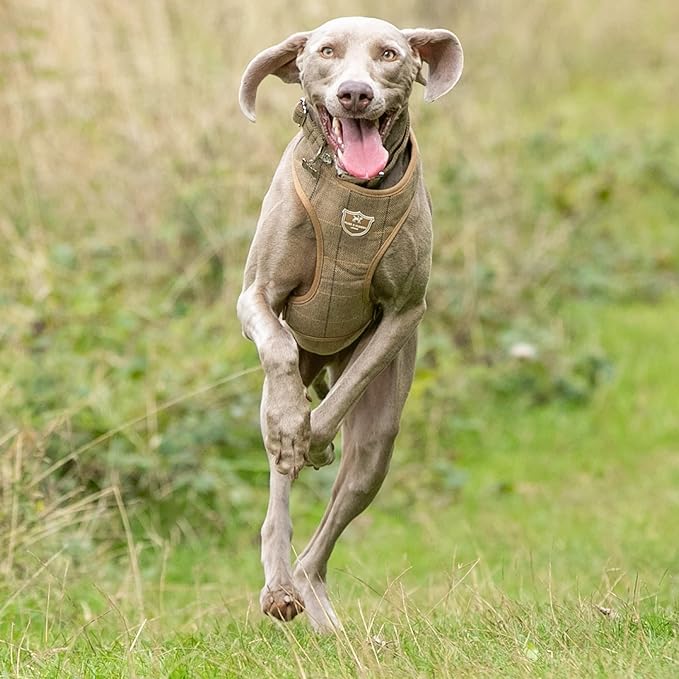 HUGO & HUDSON Dog Harness, No-Pull Anti Choke Tweed Harness Vest, Caramel Checkered Herringbone, L