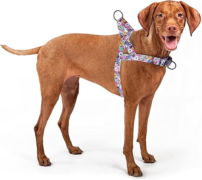 No Pull Dog Harness for Small, Medium, and Large Pets - Floral Pattern Nylon Safety Training Dog Harness (S, Fireworks)