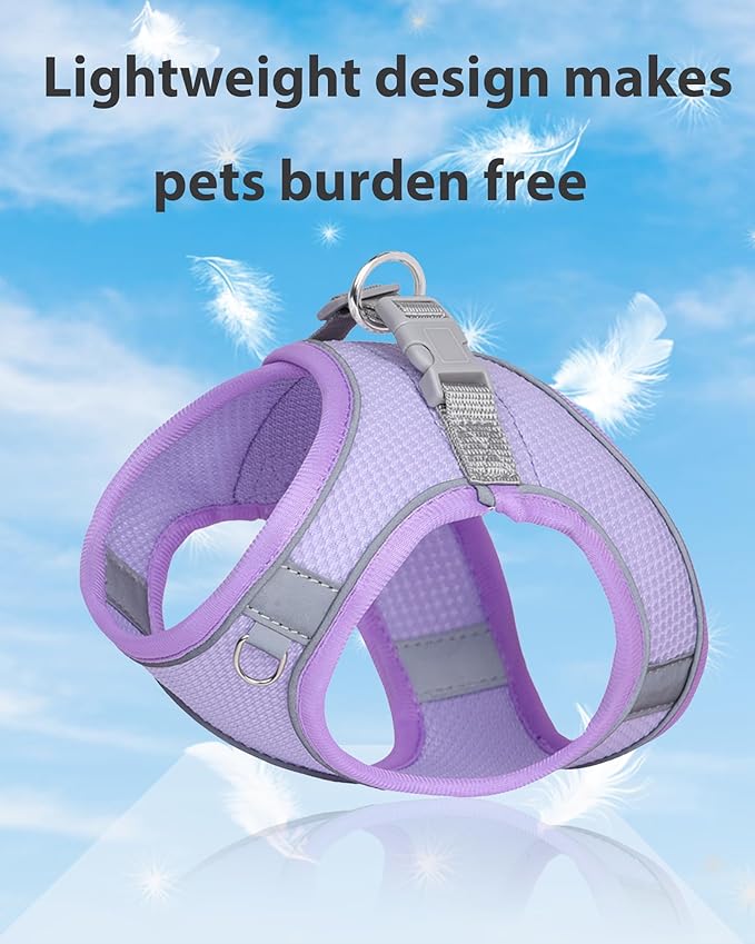 Dog Harness for Small Medium Sized Dog, Puppy Harness and Leash Set Training, Dog Harness and Leash Set, Dog Vest Harness, Dog Harness Small Sized Dog, Small Dog Harness. (Purple, L)