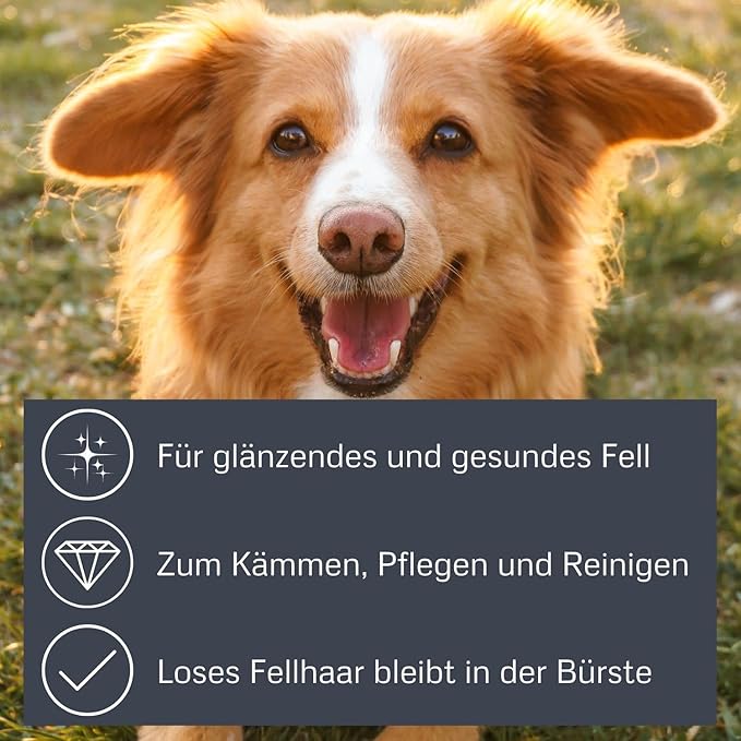 Alcott Bamboo Groom Slicker Brush with Stainless Steel Pins for Pets, Small,Black