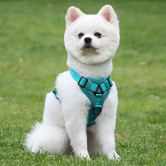 No Pull Dog Harnes with 5FT Dog Basic Leash, Breathable Soft Sandwich Air Mesh, Triangle Stable Ring, Reflective Stripes, Lightweight Pet Vest Harness for Small Dogs Cats Kitten Green S
