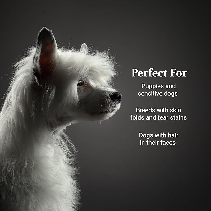 iGroom Tearless Facial Dog Shampoo, Luxury Pet Beauty Care, Ultra Mild to Eyes, Restore Skins Natural Moisture, Made in USA, Gallon