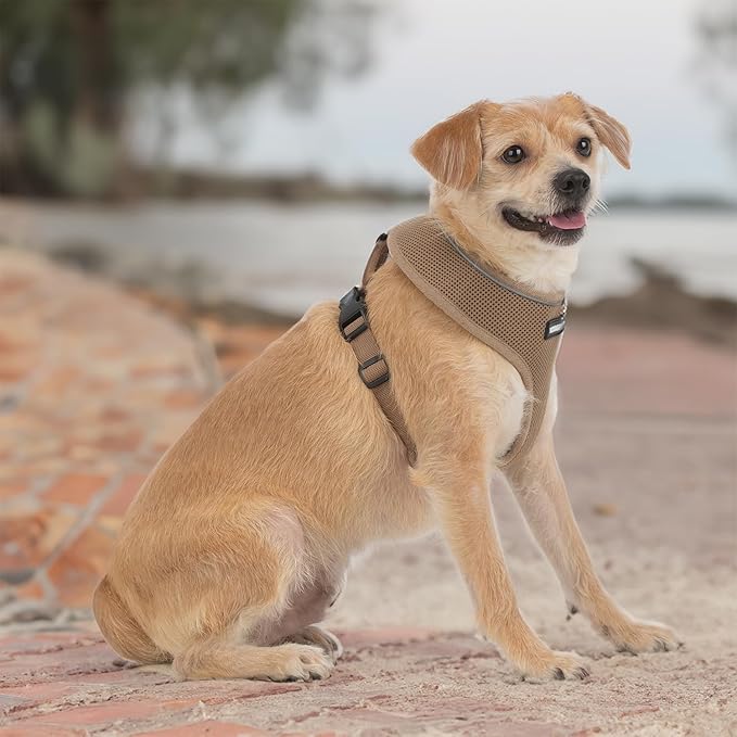 Voyager Aerolite No Pull Mesh Dog Harness with Lightweight, Soft, Breathable, Reflective Stitching, and Adjustable Straps for Walking, Running, Training, Heavy Duty and Durable - Beige, M