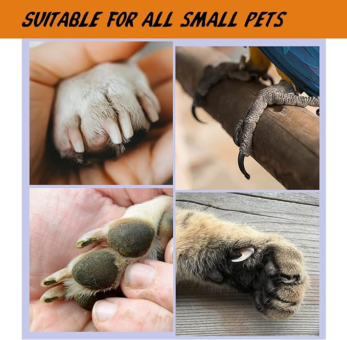 Pet Cut Nail Clippers for Small Medium Animals Cat Dog Claw Trimmer Home Grooming - Stainless Steel Kit Tool for Tiny Bunny Rabbit Bird Puppy Kitten Ferret